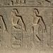 2007_egypttrip015